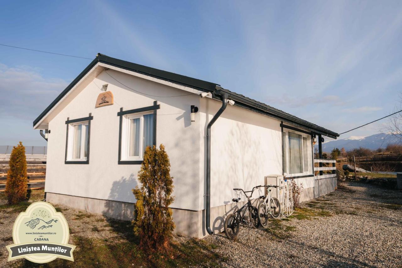 Linistea Muntilor Chalet Porumbacu de Sus Exterior photo