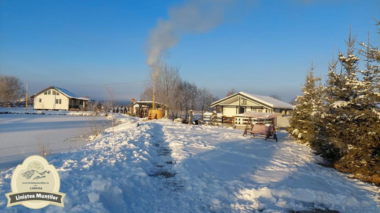 Linistea Muntilor Chalet Porumbacu de Sus Exterior photo