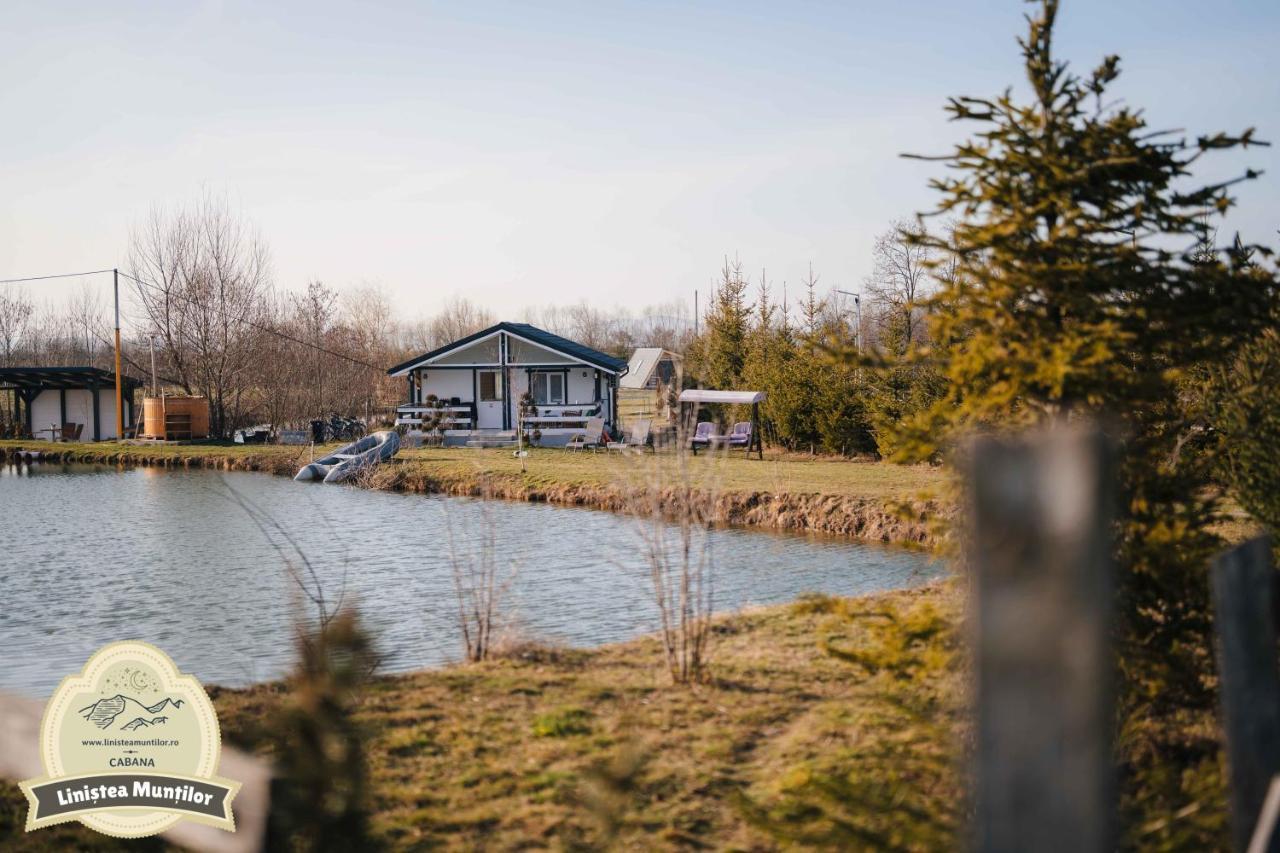 Linistea Muntilor Chalet Porumbacu de Sus Exterior photo