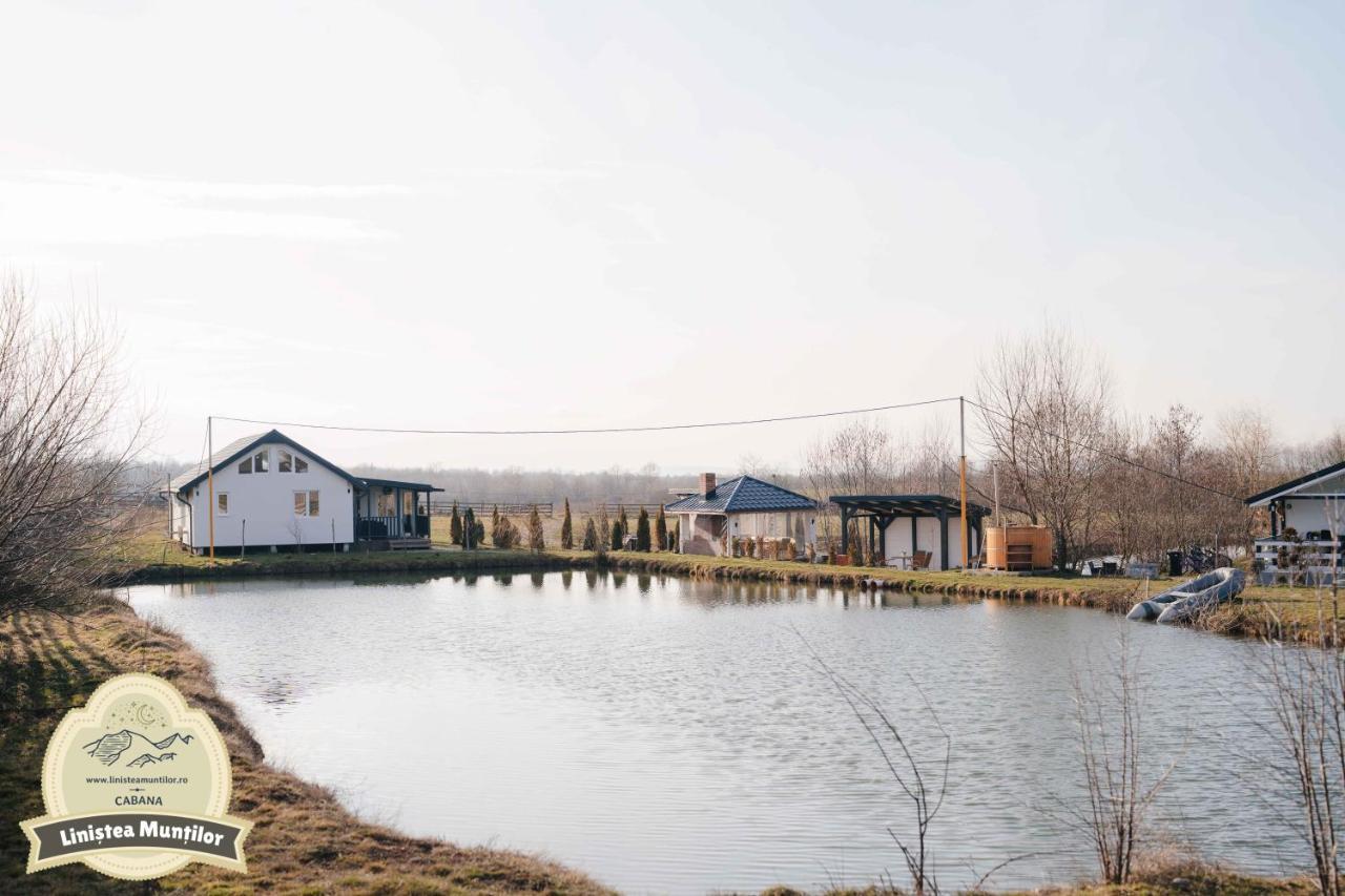 Linistea Muntilor Chalet Porumbacu de Sus Exterior photo