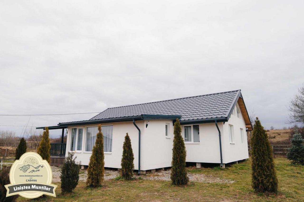 Linistea Muntilor Chalet Porumbacu de Sus Exterior photo