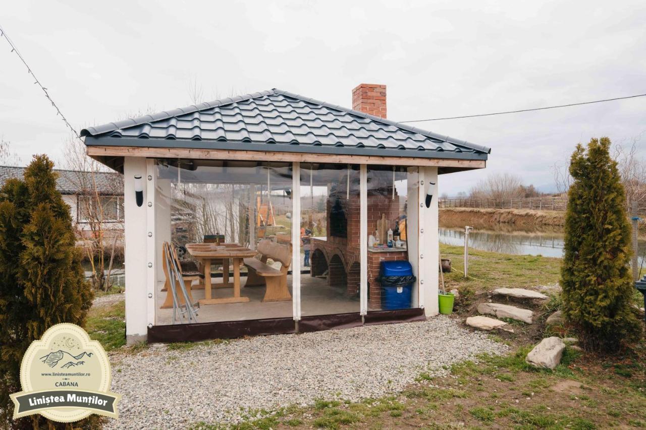Linistea Muntilor Chalet Porumbacu de Sus Exterior photo