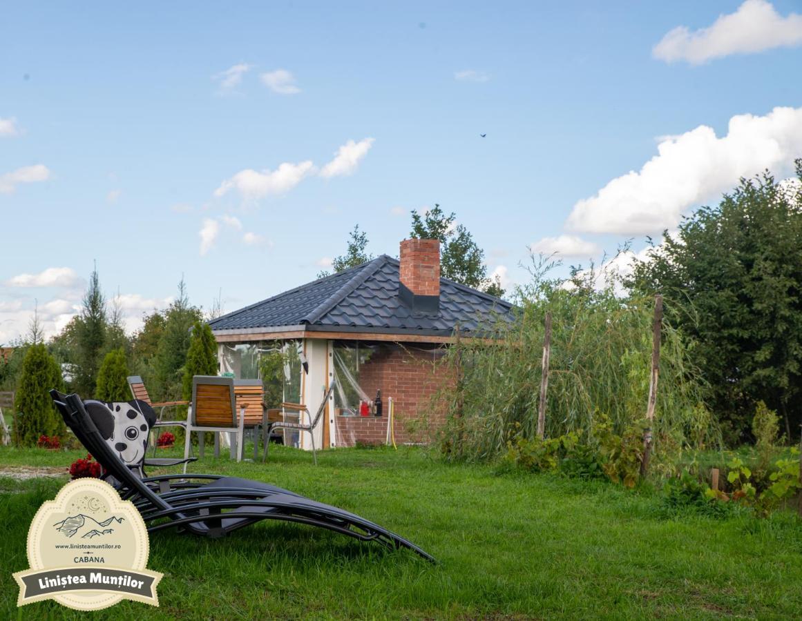 Linistea Muntilor Chalet Porumbacu de Sus Exterior photo