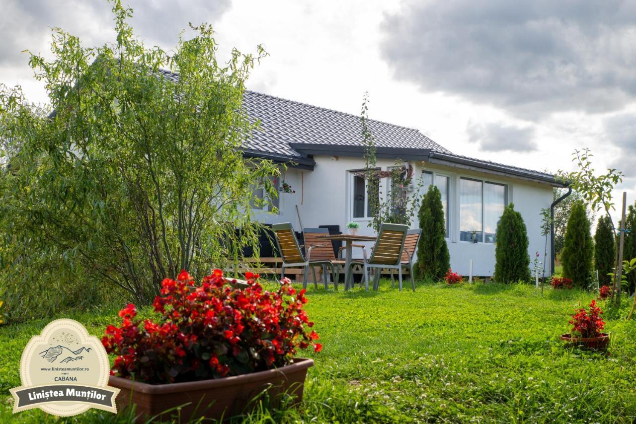 Linistea Muntilor Chalet Porumbacu de Sus Exterior photo