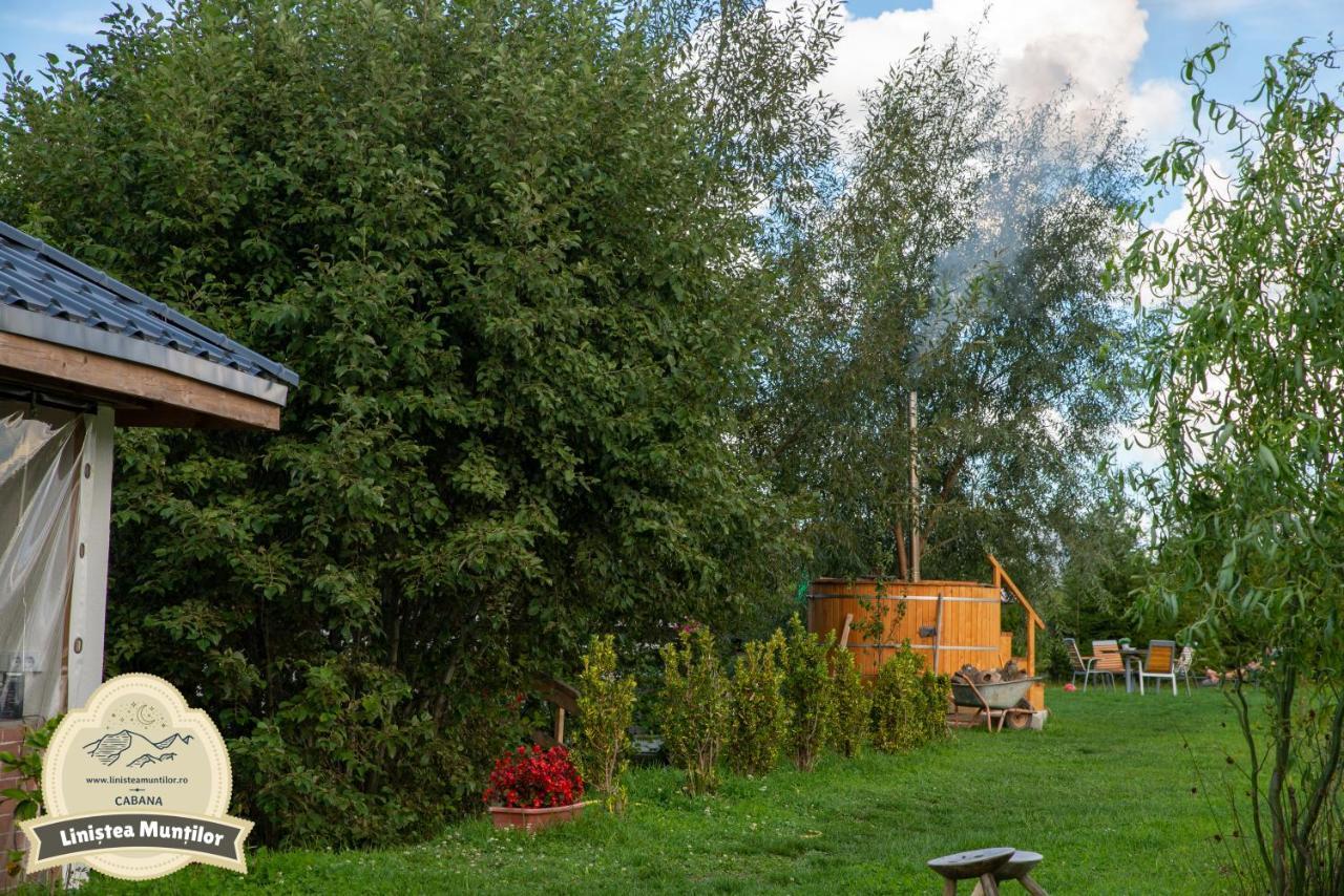 Linistea Muntilor Chalet Porumbacu de Sus Exterior photo